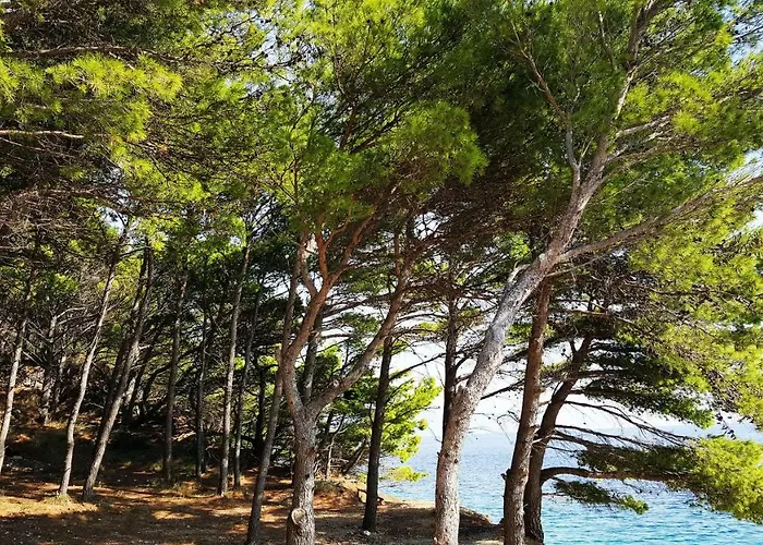 Sea Panorama Hébergement de vacances Mimice