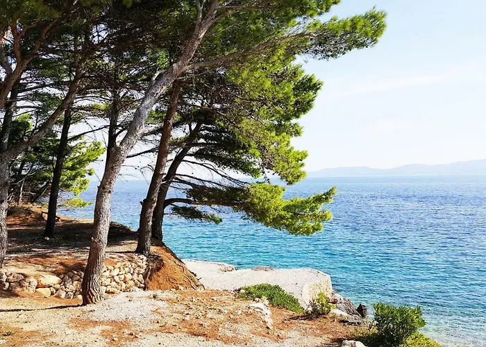 Hébergement de vacances Sea Panorama Mimice