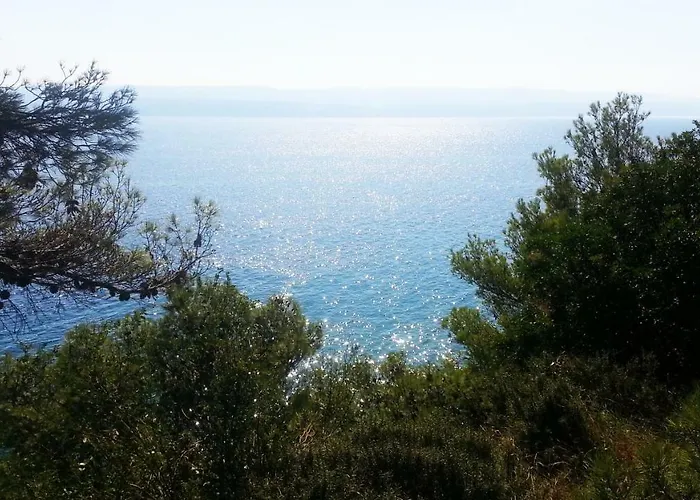 Sea Panorama Mimice