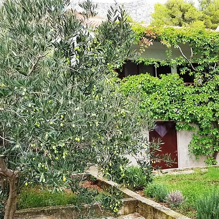 Sea Panorama Prázdninový dům Mimice