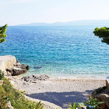 Sea Panorama * Мимице