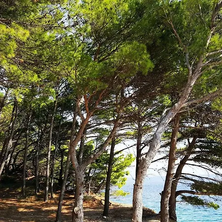 Sea Panorama Holiday home Mimice