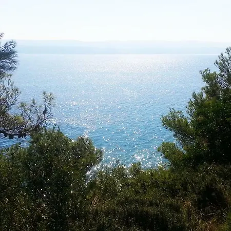 Sea Panorama Mimice